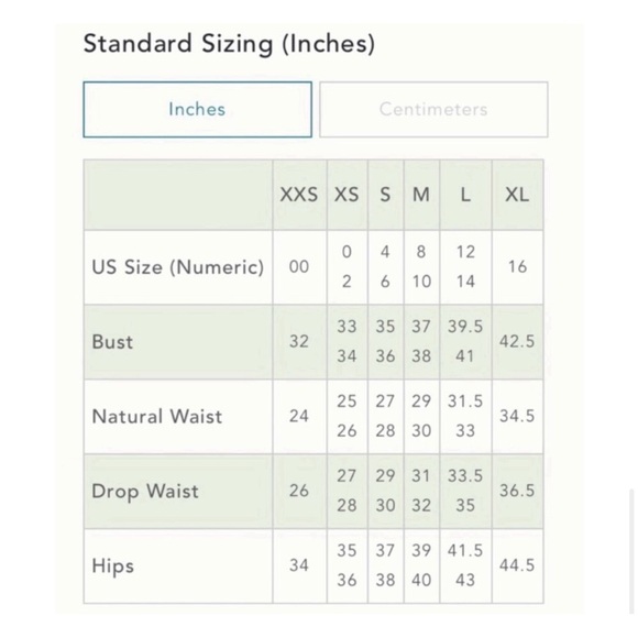 Anthropologie Moon River Cinched Cargo Shorts Slate Grey NWT SZ XL - Picture 10 of 12